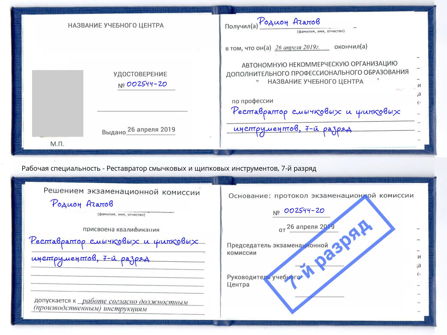 корочка 7-й разряд Реставратор смычковых и щипковых инструментов Мытищи