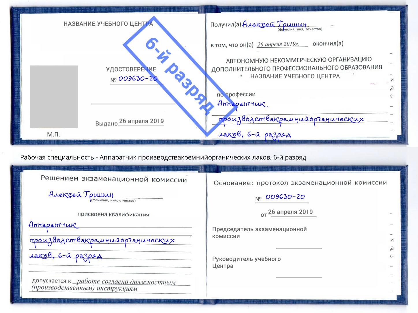 корочка 6-й разряд Аппаратчик производствакремнийорганических лаков Мытищи